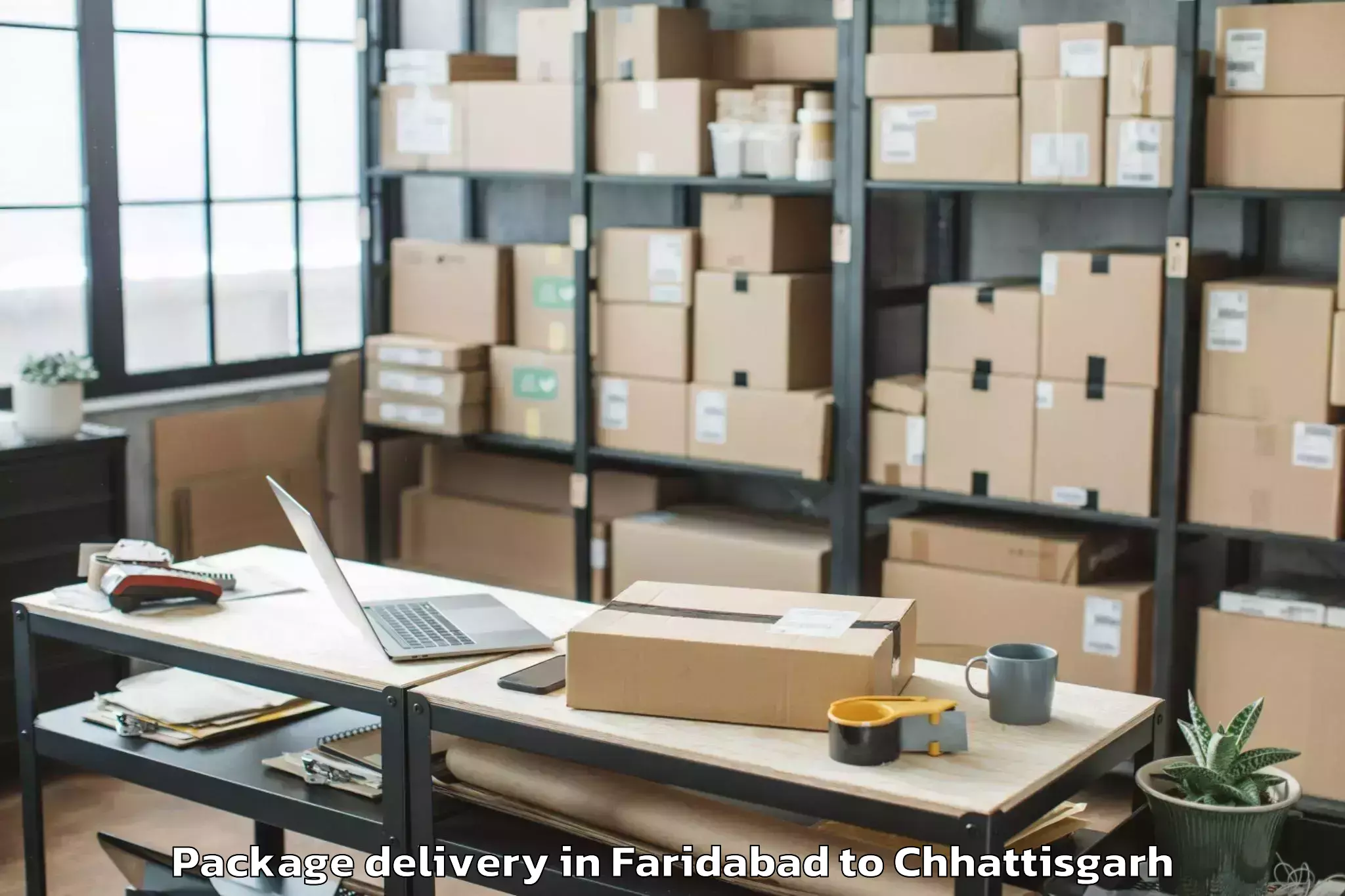 Professional Faridabad to Janjgir Package Delivery